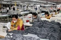 Thanh Hóa ban hành kế hoạch về phát triển kinh tế tư nhân