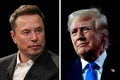 Tỷ phú Elon Musk có nguy cơ bị truy tố vì nghi vi phạm luật bầu cử