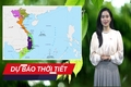Dự báo ngày 15/6, bão số 1 suy yếu thành áp thấp nhiệt đới