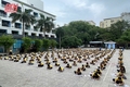 Phát động toàn dân tập luyện môn bơi, phòng, chống đuối nước trẻ em