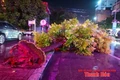 [Cập nhật] - Mưa dông khiến nhiều nhà dân tốc mái, công sở hư hỏng