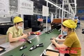 Thành lập 51 công đoàn cơ sở