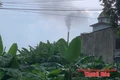 Tạm dừng sản xuất, xử phạt hành chính đối với Công ty CP phân bón Nhật Long