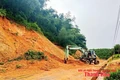 Gia cố, đảm bảo an toàn đê tại xã Triệu Sơn
