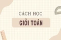 Anh em sinh đôi cùng đoạt giải Nhất học sinh giỏi quốc gia môn Toán