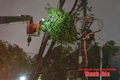 Tàu vận tải nghìn tấn mắc cạn tại vùng biển xã Tiên Trang, 19 thuyền viên an toàn