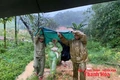Nhà tránh bão... bịn rịn nghĩa tình