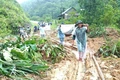 Bức thư sau lũ - Đọng tình quân dân!