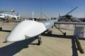 EU, NATO thảo luận xây “bức tường chống UAV” dọc biên giới phía Đông