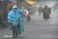 Trong 24 giờ tới, vùng áp thấp có khả năng mạnh lên thành áp thấp nhiệt đới
