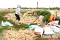 “Lo việc nước trước, nghĩ việc nhà sau”