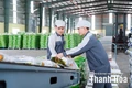 Hành trình của động lực và khát vọng (Bài cuối): Viết tiếp hành trình đổi mới, sáng tạo và phát triển