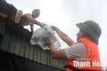 Nhiều khu vực tại phường Hàm Rồng vẫn ngập sau mưa lớn