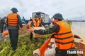 Trong vùng tâm lũ!