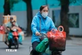Không khí lạnh mấy ngày vừa qua có phải là dấu hiệu của một mùa Đông bất thường?