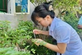 Chủ động tiêm vắc xin để phòng bệnh sốt xuất huyết