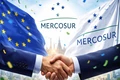 Hội nghị Thượng đỉnh lần thứ 68 của khối Mercosur