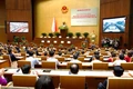 Triển khai phương hướng, nhiệm vụ HĐND các cấp nhiệm kỳ 2026-2031