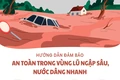[Infographics] Vệ sinh môi trường và phòng tránh dịch bệnh sau mưa lũ