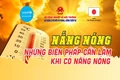 [Infographics] Bảo vệ cây trồng, vật nuôi khi có nắng nóng