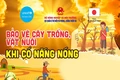 [Infographics] Nắng nóng: Những biện pháp cần làm khi có nắng nóng