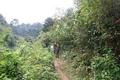 “Tai mắt” giữ rừng, ngăn cháy