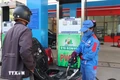“Phủ sóng” xăng E10: Từ lộ trình chuyển đổi đến sự an tâm của người sử dụng