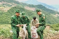 Mười năm “thắp lửa” biên cương (Bài 2): Mùa no ấm