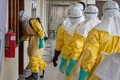 CHDC Congo khẩn trương mở rộng cơ sở điều trị Ebola