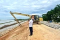 Phản hồi nội dung Báo điện tử Thanh Hóa phản ánh về các tuyến đê xuống cấp