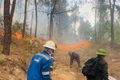 Đám cháy khu vực rừng giáp ranh phường Trúc Lâm và phường Đào Duy Từ đã được khống chế