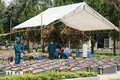 Giải đáp băn khoăn về việc thu nhận mẫu ADN thân nhân liệt sĩ chưa xác định danh tính