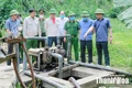 Vụ ngộ độc tại trang trại lợn liên quan “Hội chứng búa tạ ở lò mổ”