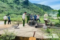 Phó Chủ tịch UBND tỉnh Cao Văn Cường kiểm tra hiện trường vụ tai nạn lao động nghiêm trọng tại xã Thạch Quảng