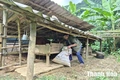 Chờ đất... (Bài cuối): Quỹ đất có, vì sao người dân vẫn phải chờ?