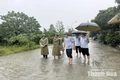 Kiểm tra công tác ứng phó với mưa bão trên địa bàn các phường Hạc Thành, Nguyệt Viên