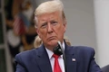Ông Trump tăng tốc vận động, nhấn mạnh thành tựu trước bầu cử giữa nhiệm kỳ
