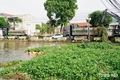 Thanh Hóa thu gom thêm 3.000 tấn rác thải trong một tuần