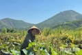 Vươn lên sau những “va đập”