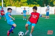 Thanh Hóa đăng cai giải Bóng đá U9 toàn quốc Toyota Cup 2021