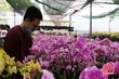 Tổ chức test tầm soát hàng ngày đối với người bán hoa, cây cảnh trên địa bàn TP Thanh Hóa