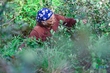 Mùa săn “lộc rừng” ở Trà La