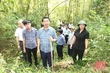 Phó Chủ tịch UBND tỉnh Lê Đức Giang làm việc tại huyện Quan Sơn