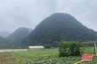 Thăm vườn rau VietGAP đầu tiên trên đất châu Lang