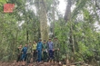 Khi bộ đội giữ rừng