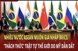 Nhiều nước ASEAN muốn gia nhập BRICS: ’thách thức' trật tự thế giới do Mỹ dẫn dắt
