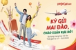 Mang sắc xuân đến muôn nơi, Vietjet triển khai dịch vụ vận chuyển mai, đào Tết 2025