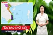 Dự báo thời tiết 3/6: Mưa xuất hiện đột ngột, miền Bắc giảm nhiệt