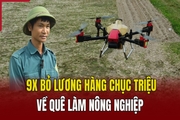 9x bỏ lương hàng chục triệu, về quê làm nông nghiệp