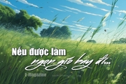 [E-Magazine] - Nếu được làm ngọn gió bay đi...